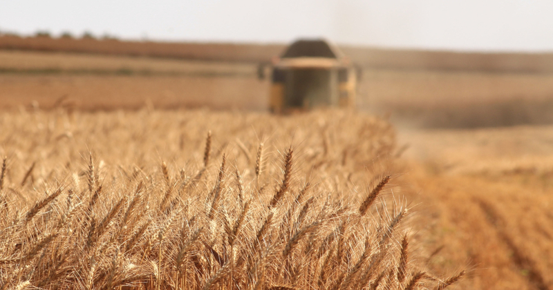 Venäjän maatalousministeriö julkaisi listan kriittisistä maataloussektorin yrityksistä