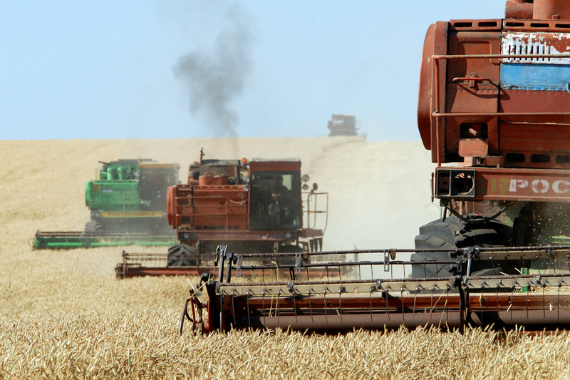 Venäjän maatalousministeriö: tuontikiellot vähentäneet elintarvikkeiden tuontia kolmanneksella